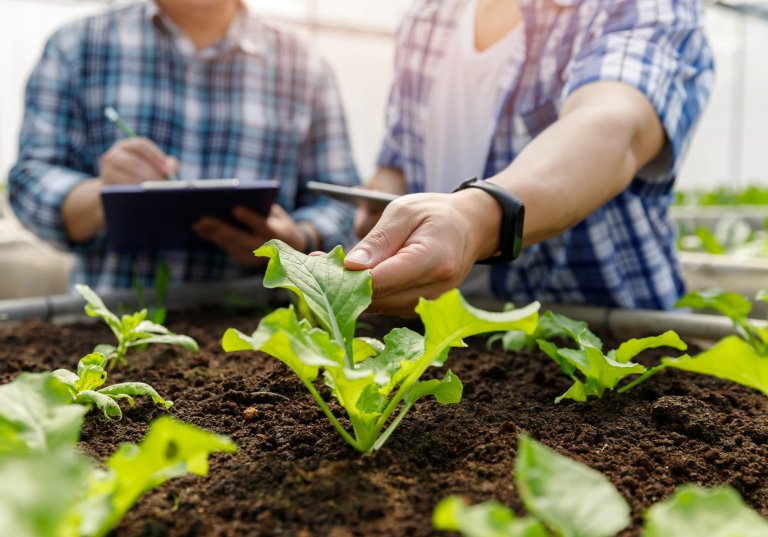 Een afbeelding met op de voorgrond diverse plantjes en op de achtergrond twee mensen die ze bestuderen